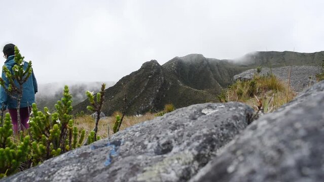 Woman walking through paramo mountain path near to lakes