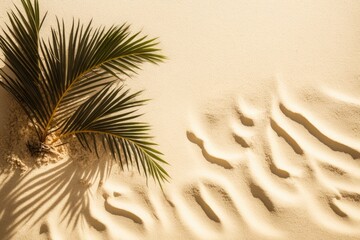 On the sand beach texture background, duplicate the shadow palm leaf area. Generative AI