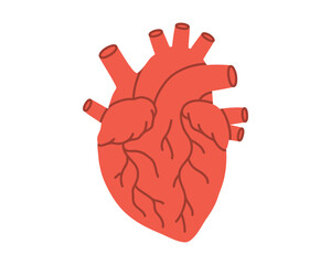 Hand drawn cute illustration human heart. Flat vector internal organ, feelings and emotions symbol in colored doodle style. Health, medicine sticker, icon or print. Isolated on white background.