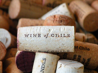 Chilean wines
