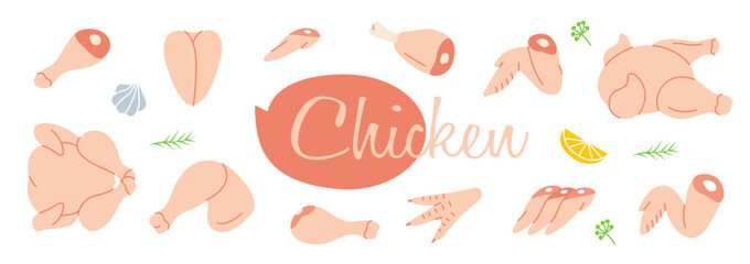 Raw chicken meat parts. Butcher shop. Chicken farming products. Whole chicken, brisket wing, carcass, fillet, ham, leg, breast, shank, drumstick.