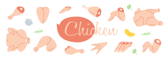 Fotobehang Raw chicken meat parts. Butcher shop. Chicken farming products. Whole chicken, brisket wing, carcass, fillet, ham, leg, breast, shank, drumstick. © Lifeking
