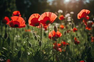 Fototapeta premium Red poppy flowers, generative artificial intelligence 