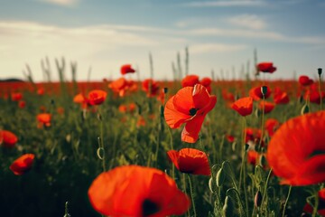 Obraz premium Red poppy flowers, generative artificial intelligence 