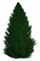 A green Christmas tree ready to be decorated (3D Daz studio)
