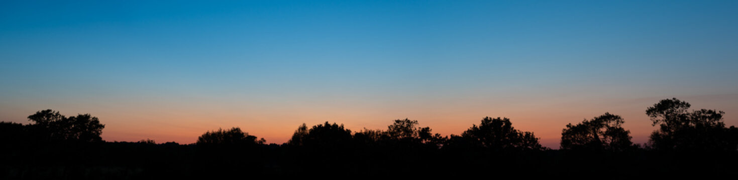 Beautiful panorama of orange blue sunset glow behind treeline.