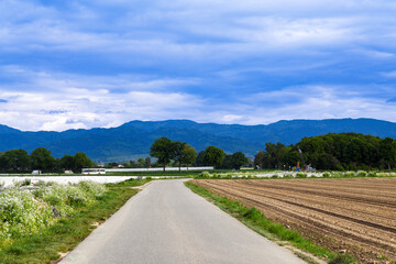 FeldkirchHartheim Rhein Badenrttemberg