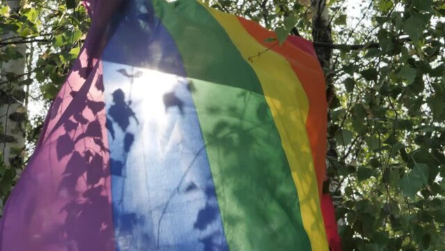 A colorful LGBT flag attached to birch branches flutters in the wind against lush green tree branches. An LGBT symbol that expresses a close view of human rights and freedom. Soft selective focus.