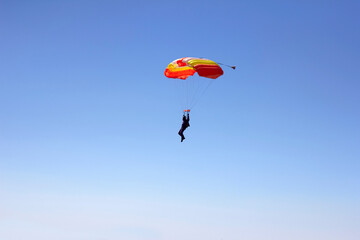 Flight of an experienced paratrooper with a professional parachute in the sky