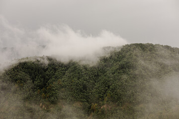 fog in the mountains