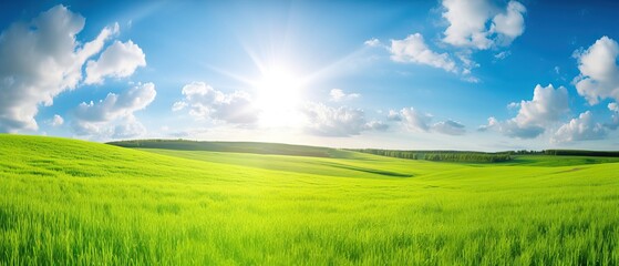 Obraz na płótnie Canvas Natural panoramic landscape with spring meadow with curved horizon line. Field bright juicy green grass against a blue sky with clouds and sun flare