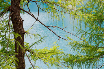 Beautiful view of the turquoise colour of Lago di Braies or Pragser wildsee, Trentino Alto Adidge, Dolomites mountains, Italy