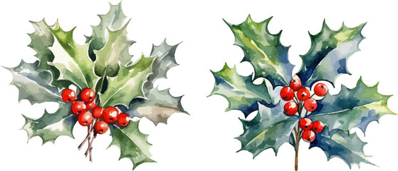 Mistletoe branches with red berries clipart, isolated vector illustration. © NightCreativity