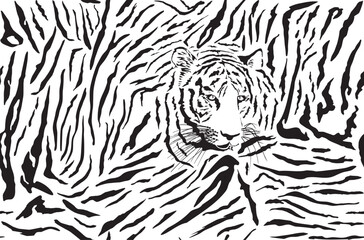Seamless background of tiger fur and head - 610448382