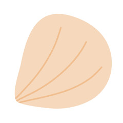 Yellow cockle or scallop sea shell, flat vector