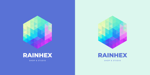Hexagon bright rainbow colors polygonal vector logo. Modern style for branding company.