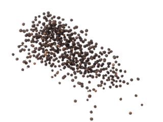 Black Pepper seeds fly explosion, Black Pepper float explode, abstract cloud fly. Black Peppercorn splash throwing in Air. White background Isolated high speed shutter, freeze motion