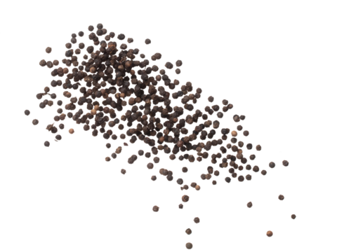 Black Pepper seeds fly explosion, Black Pepper float explode, abstract cloud fly. Black Peppercorn splash throwing in Air. White background Isolated high speed shutter, freeze motion