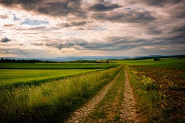 Fototapeta na wymiar Feld, Getreide, Sonnenuntergang, Wolken, Himmel Abendrot, Feldweg