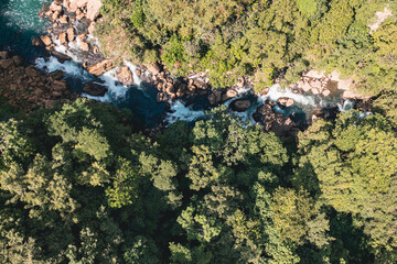 Rio en medio de la selva