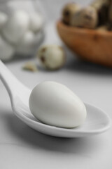 Fototapeta na wymiar One boiled quail egg in spoon on white table, closeup