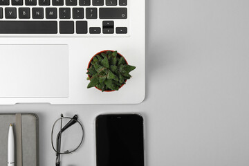 Modern laptop, stationery, glasses, houseplant and smartphone on light grey table, flat lay. Space...