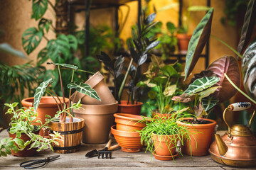 Ceramic pots, gardening tools, and lots of plants