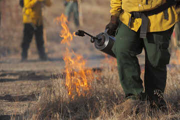 A firefighter lights grass on fire using a drip torch while others watch