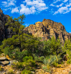 The Rainbow Mountain Range on The Ice Box Canyon Trail, Red Rock Canyon National Conservation Area, Nevada, USA