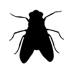 silhouette of fly structure icon vector illustration