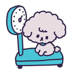体重計に乗るかわいいトイプードルの子犬のイラスト