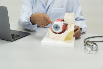 Ophthalmologist explain patient with eye anatomy model on white background.Part of human body model with organ system for health student study in university.Human eye model.Medical education concept.