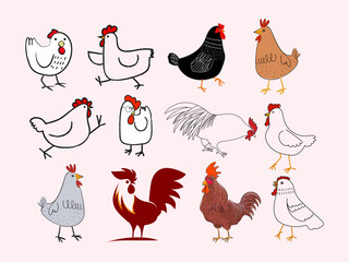 Set of chicken hen rooster icon character poultry farm animal vector illustration collection.