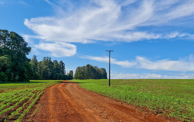 landscape with a road