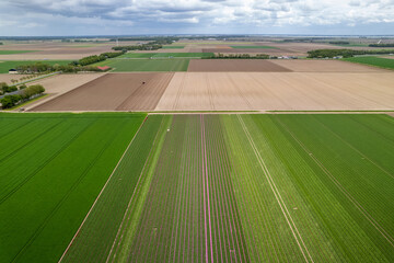 Aerial view of vast farm lands in Netherlands countryside. - obrazy, fototapety, plakaty