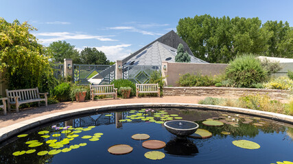 Pond with Lily pods in Denver botanical gardens, One of the top five botanic gardens in the USA.