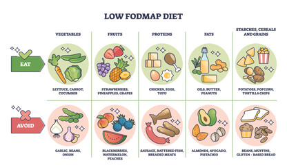 Low FODMAP diet and food with healthy carbohydrates list outline diagram. Labeled educational scheme with groceries for easy digestive processing vector illustration. Avoid and include these items. - obrazy, fototapety, plakaty