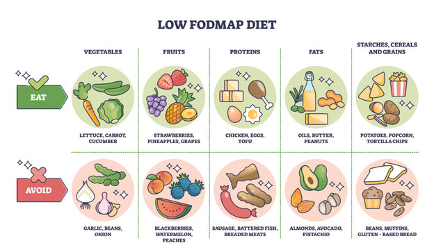 Low FODMAP diet and food with healthy carbohydrates list outline diagram. Labeled educational scheme with groceries for easy digestive processing vector illustration. Avoid and include these items.