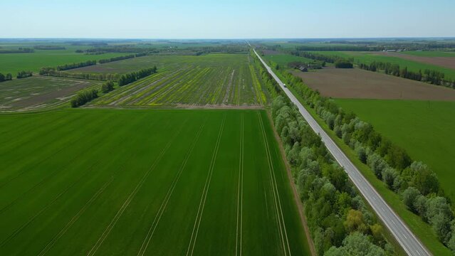 Aerial view of straight roadway along rural farmland