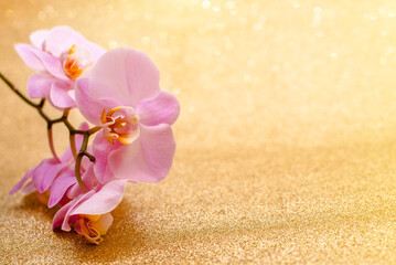 A branch of purple orchids on a shiny gold background
