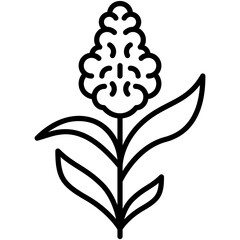 Sorghum Icon. Sorgo Grass Leaf Symbol Stock Illustration. Vector Line Icons For UI Web Design And Presentation