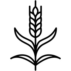 Cereal Rye Icon. Wheatears Grass Farm Symbol Stock Illustration. Vector Line Icons For UI Web Design And Presentation