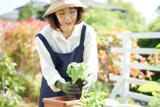 ガーデニングをする日本人女性