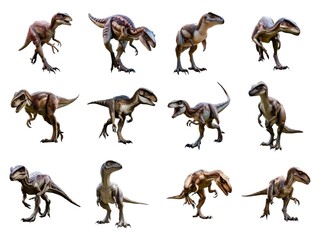 Naklejka premium Raptor collection isolated on white background with AI generated.