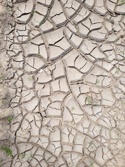Dried cracked earth ground in the desert and green grass in the background. No contrast. Photo from the phone. Background, wallpaper,  ground texture