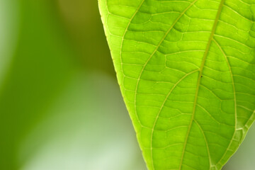 Summer holiday concept with summertime fun and activities in the perfect travel vacation in the sunshine