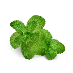 Fresh mint leaves isolated on transparent background (.PNG)