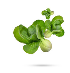 Pak Choi isolated on transparent background (.PNG)