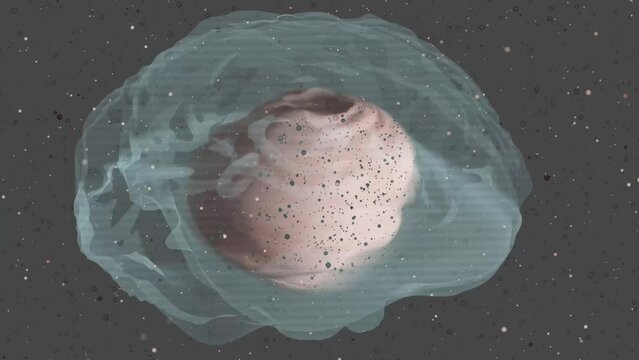 3D rendering di due cervelli che roteano su se stessi