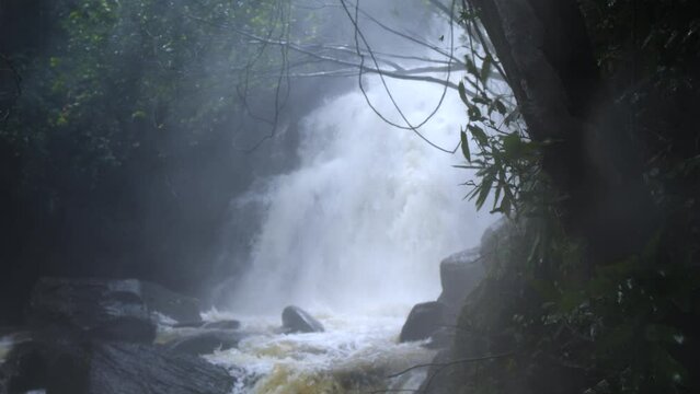 Neluwa Doowili Ella Falls. Sinharaja Forest Reserve. Sri Lanka. UNESCO.